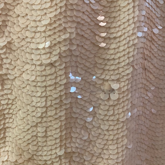 Blush pink mini sequin skirt from BCBG - Picture 2 of 4